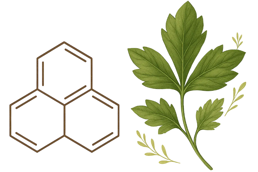 Molecular structure diagram with a leaf on a white background